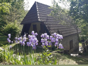 Casa Giulia